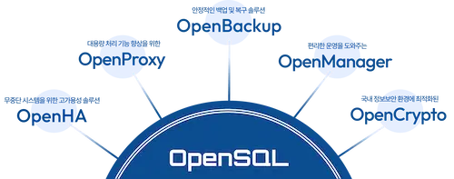 OpenSQL 엔터프라이즈 기능