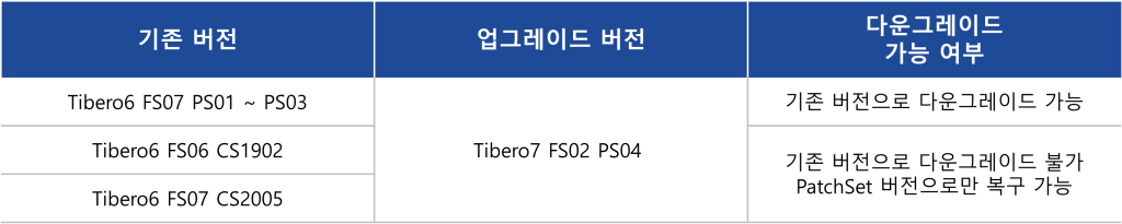패치 업그레이드 1